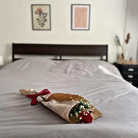 αpartment In The Heart Of The Lejlighed